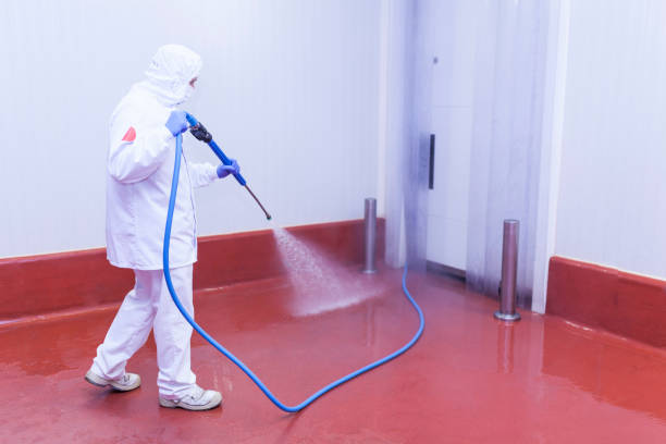Best Graffiti Removal  in Cartersville, GA